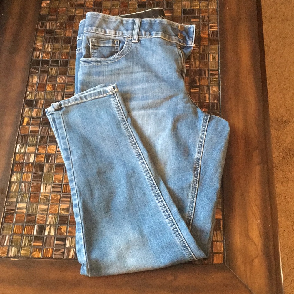 Lane Bryant skinny jeans